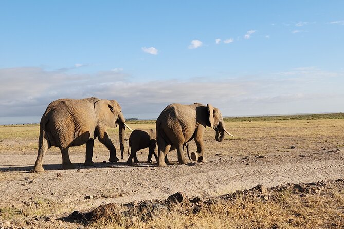 6 Days Safari Tour in Amboseli, Tsavo West and Tsavo East - Cancellation Policy