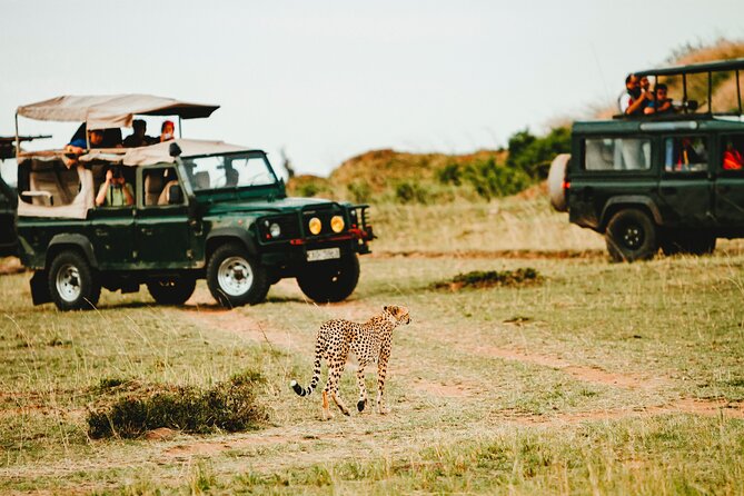 6 Days Safari - Visit; Masai Mara, Lake Nakuru & Amboseli - Safari Itinerary Overview