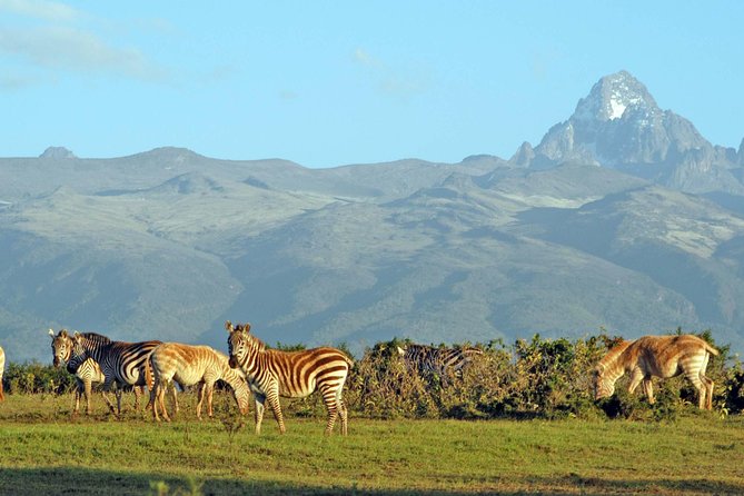 6 Days Safari - Visit; Masai Mara, Lake Nakuru & Amboseli - Safari Accommodations and Inclusions