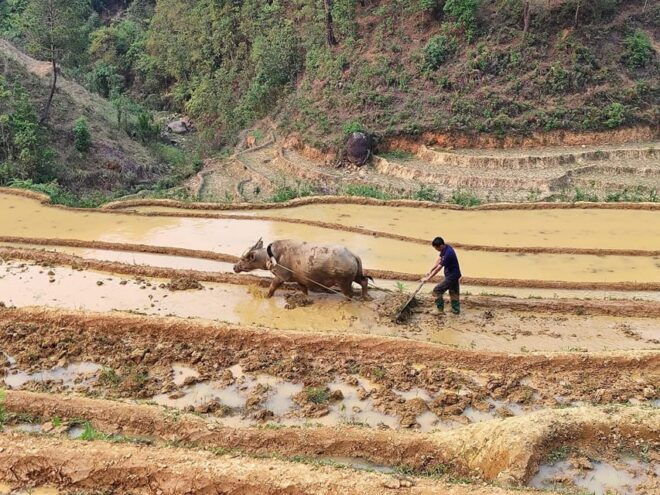 6-Days Sapa Trekking & Ha Giang Loop Motorbike Tour - Activities and Experiences