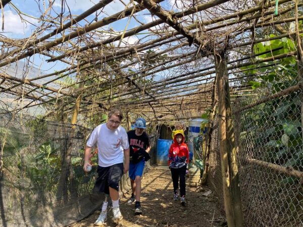 6-Days Sapa Trekking & Ha Giang Loop Motorbike Tour - Pricing and Booking
