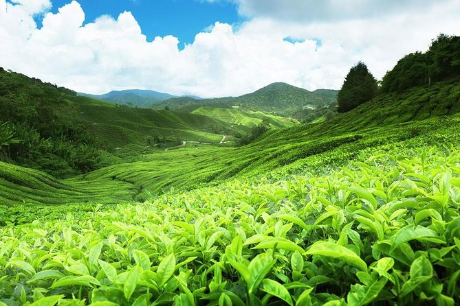 6 Days Sri Lanka Private Heritage Tour - Day 1: Arrival and Cultural Exploration