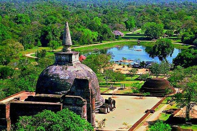 6 Days Sri Lanka Private Heritage Tour - Day 4: Tea Plantations and Scenic Landscapes