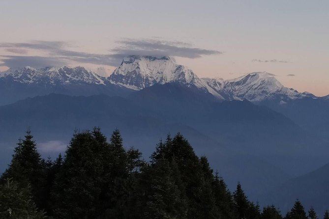 6 Days Stunning Mohare Danda and Cultured Ghandruk Village Trek From Pokhara - Day 2: Bans Kharka to Naangi