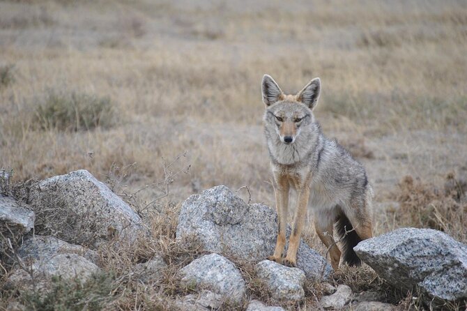 6 Days Tanzania Luxury Lodging Safari - Cancellation Policy