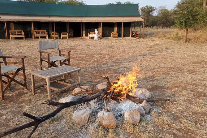 6 Days The Best of Tanzania Safari - Pickup and Drop-off Details