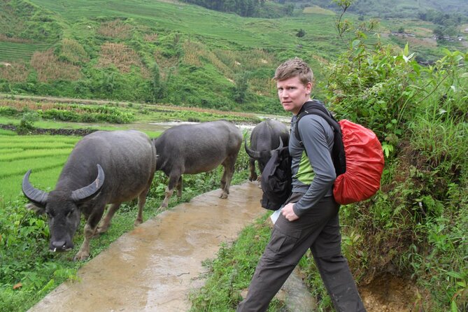 6 Days Through Hoang Lien National Park to Lao Cai Trekking - Highlights of the Lao Cai Trekking Experience