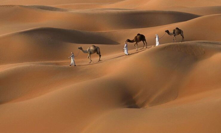 6 DAYS TOUR FROM CASABLANCA TO DESERT ITINERARY - Sightseeing in Cities