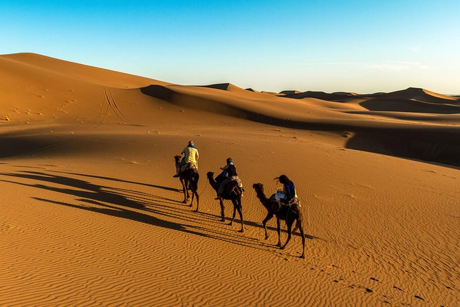 6 Days Tour From Marrakech to Sahara Desert & Atlantic Coast Essaouira - Customer Reviews