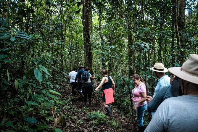 6 Days Tour in Manu National Park / Cusco - Puerto Maldonado - Accommodation Details