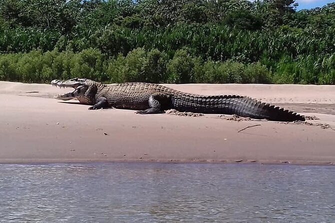 6 Days Tour in Manu National Park / Cusco - Puerto Maldonado - Inclusions