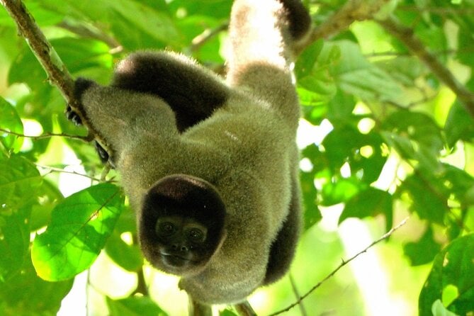 6 Days Tour in Manu National Park / Cusco - Puerto Maldonado - Packing Essentials
