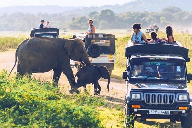 6 Days Tour of Sri Lanka - Good To Know