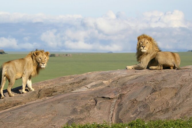 6 Days Uganda and Tanzania Safari (Serengeti and Bwindi) - Frequently Asked Questions