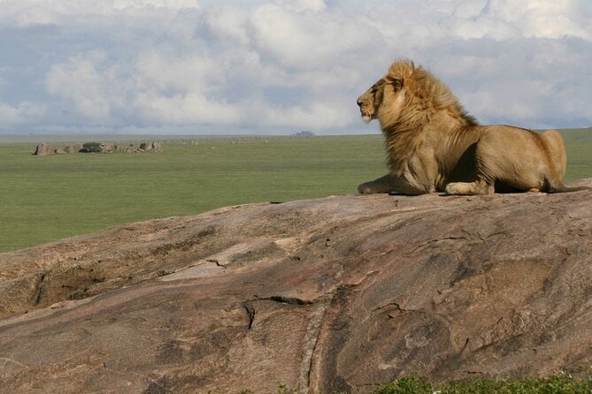 6 Days Uganda and Tanzania Safari (Serengeti and Bwindi) - The Sum Up