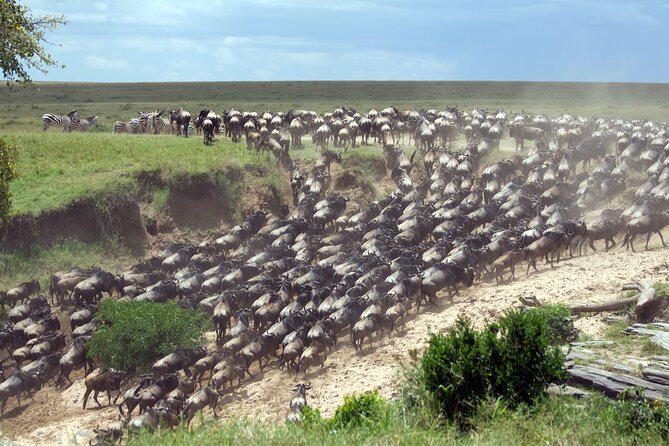 6 Days Wildebeest Migration Safaris - Meals and Dining