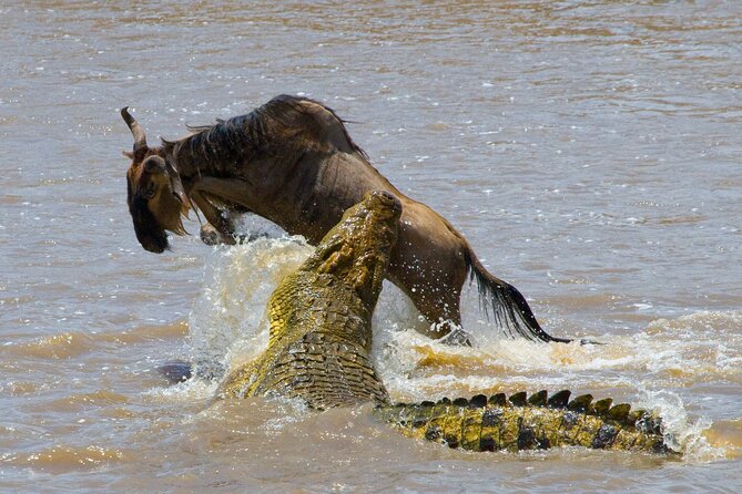 6 Days Wildebeest Migration Safaris - Cultural Experiences