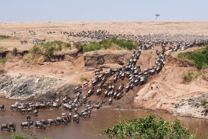 6 Days Wildebeest Migration Safaris - Safety and Health Guidelines