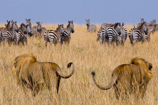 6 Days Wildebeest Migration Safaris - Booking Information