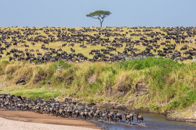 6 Days Wildebeest Migration Safaris - Price Inclusions and Exclusions