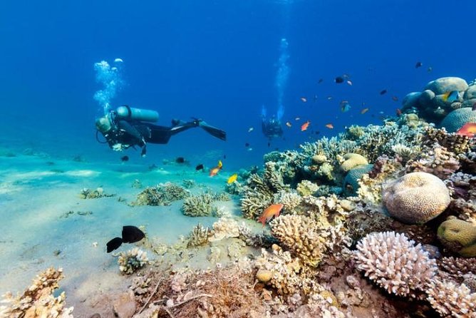 6 Days,5 Nights Dahab, Moses Mountain,Snorkeling,Camel Ride,Beach - Inclusions and Exclusions