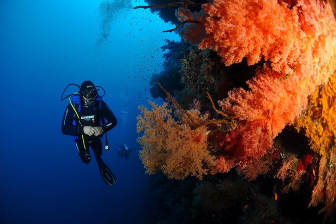 6 Dive Package at Ras Mohamed and Tiran Strait - Questions and Additional Information
