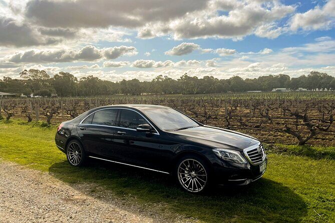 6 Hour Adelaide Hills Winery Tour - Who Should Consider This Tour?