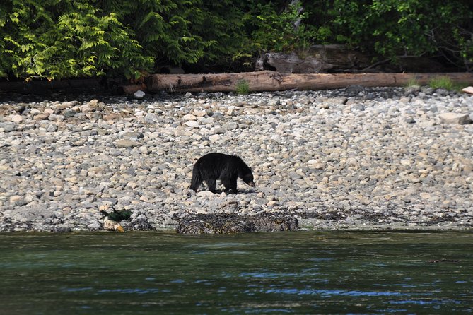 6 Hour Covered Boat Whale Watching Tour - Directions