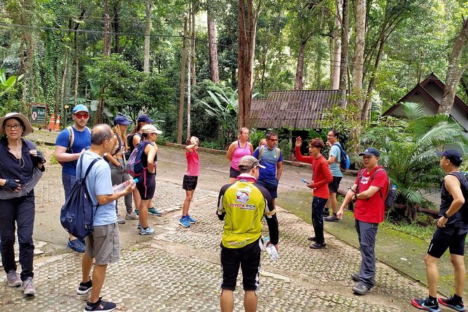 6-Hour Doi Pui Summit Hike in Doi Suthep National Park From Chiang Mai - Overview and Highlights