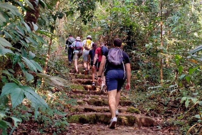 6-Hour Doi Pui Summit Hike in Doi Suthep National Park From Chiang Mai - Cancellation Policy