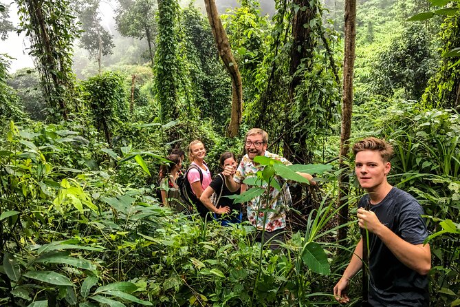 6-Hour Doi Pui Summit Hike in Doi Suthep National Park From Chiang Mai - Traveler Photos and Reviews