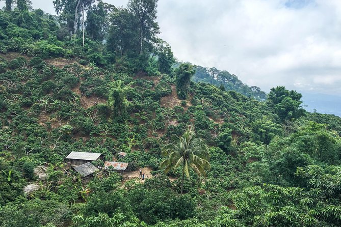6-Hour Hike and Bike in Doi Suthep Pui National Park Combo From Chiang Mai - Scary Downhill Bike Ride