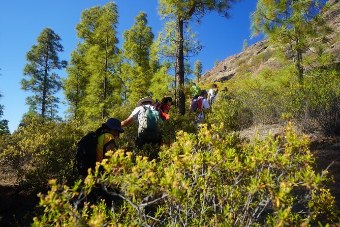 6-Hour Hiking Route Through the Inagua Nature Reserve - Common Questions