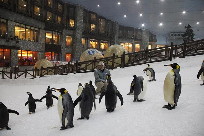 6 Hour: Indoor Skiing & Snowboarding at Ski Dubai Mall of Emirates - The Sum Up