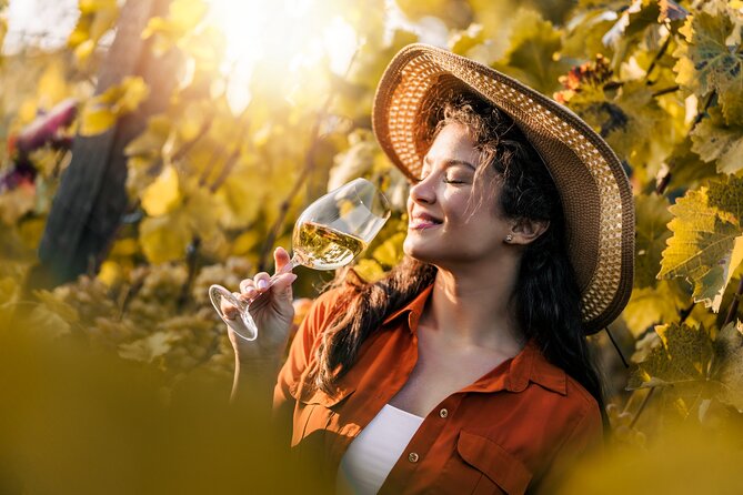 6 Hour Istrian Wineries Tour in Croatia - Cancellation Policy