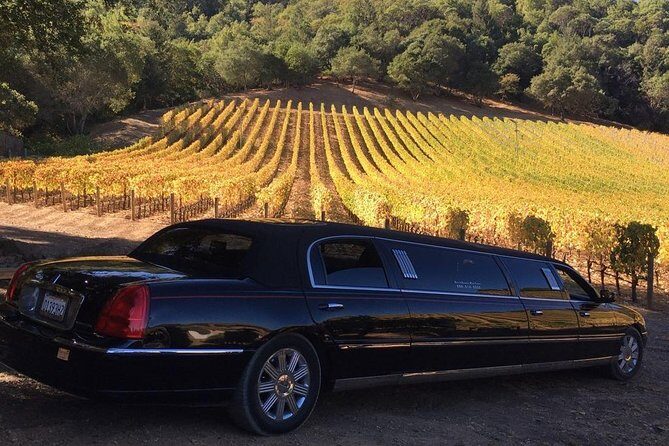6-Hour Luxury Napa Wine Tasting Tour with Route Planning - An In-Depth Look at the 6-Hour Luxury Napa Wine Tasting Tour with Route Planning