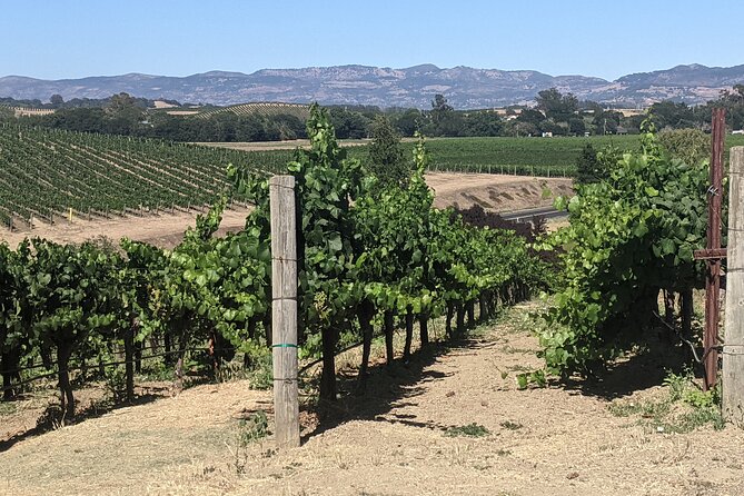 6 Hour Napa and Sonoma Valley Wine Tour From San Francisco - The Sum Up