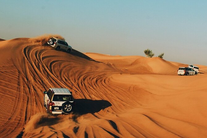6-Hour Private Desert Safari Experience With BBQ Dinner in Dubai - The Sum Up