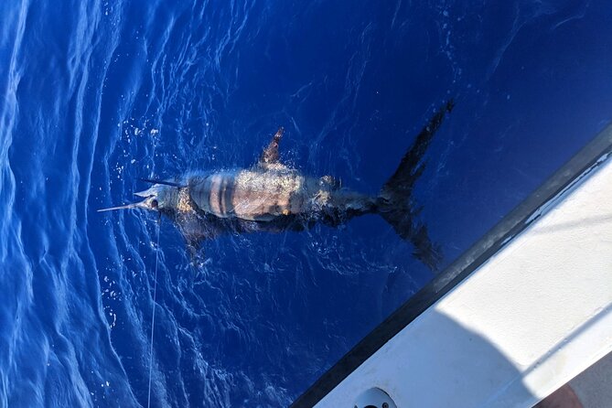 6 Hour Private Fishing Charter Kona, Hawaii - Cancellation Policy