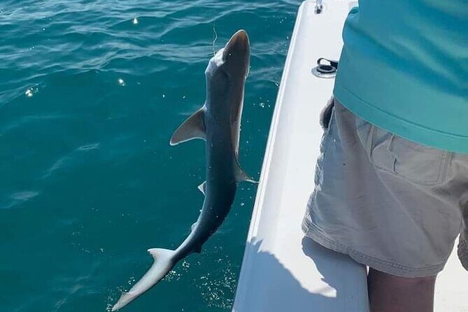 6 Hour Private Fishing Tour in Sarasota with Master Captain Bill - Who is This Tour Best For?