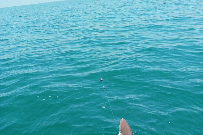 6 Hour Private Fishing Tour in Sarasota with Master Captain Bill - FAQ