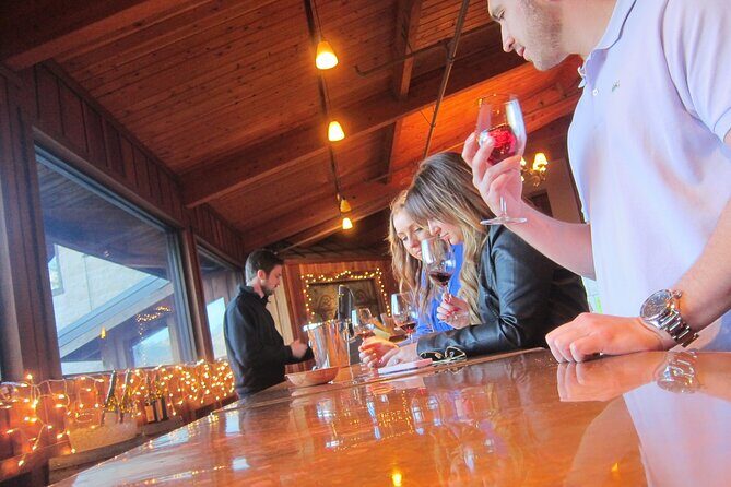 6-Hour Private Limousine Santa Barbara Wine Tour - The Vehicle and Comfort Level