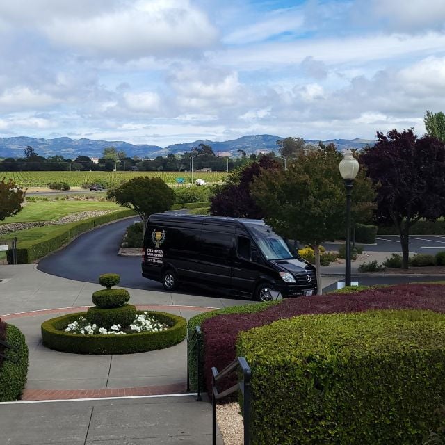 6 Hour Private Limousine Wine Tour - Good To Know