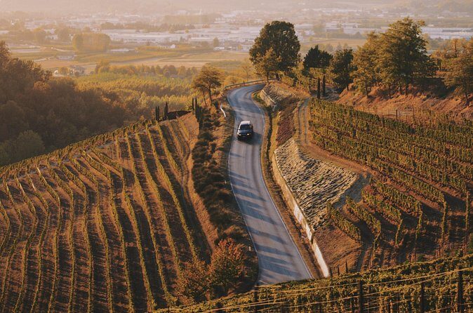 6-hour Private Luxury SUV Wine Tour in Napa Or Sonoma Valley - Who Should Book This Tour?
