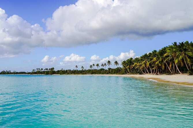 6 Hour Private Saona Island Tour With Snorkeling - Start and End Time