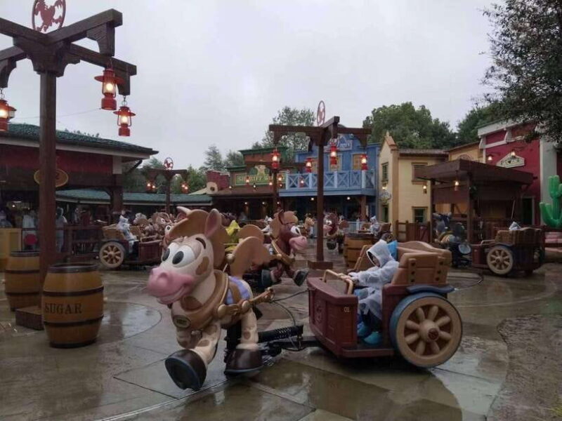 6 hour private tour in Disneyland - What to Expect from the Disneyland China Private Tour