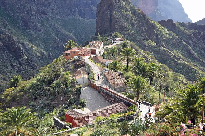 6-Hour Private Tour of Tenerife in a Luxury Vehicle - Terms and Conditions