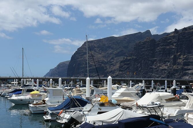 6-Hour Private Tour of Tenerife in a Luxury Vehicle - Customer Support and Assistance