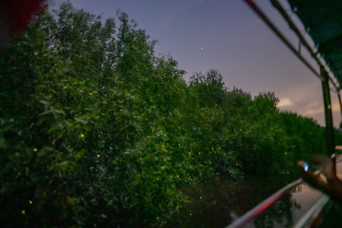 6-Hour Private Tour to Kuala Selangor Fireflies and Blue Tear - Pickup and Departure