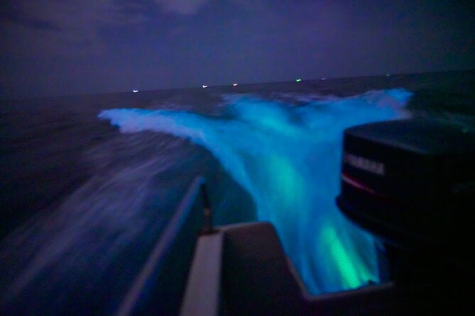 6-Hour Private Tour to Kuala Selangor Fireflies and Blue Tear - Booking Information